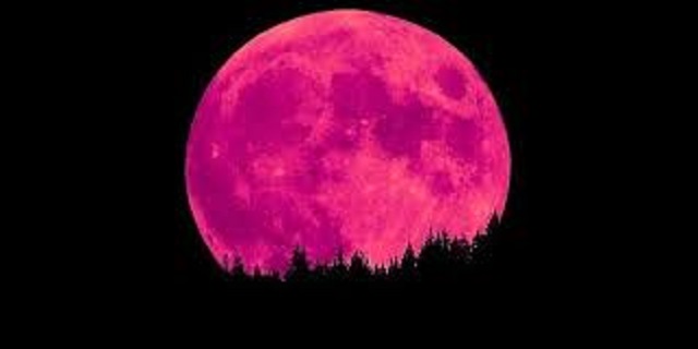 യുഎഇയുടെ ആകാശത്ത് നാളെ Strawberry Moon പ്രത്യക്ഷപ്പെടും; ഇനി ദൃശ്യമാവുക 2043ൽ